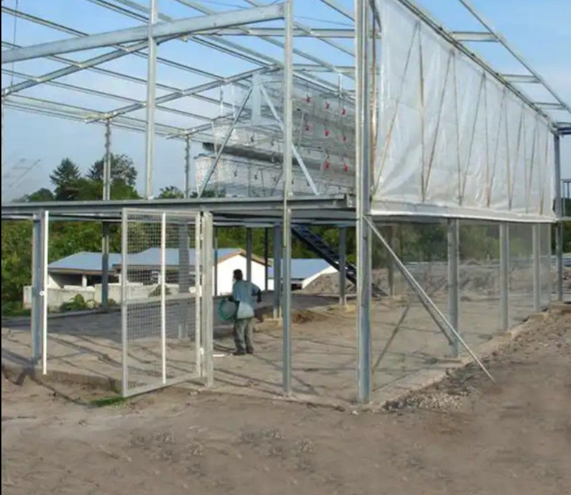 ISO 9001 Steel Structure Factory Building Metal Workshop Buildings Corrosion Proof